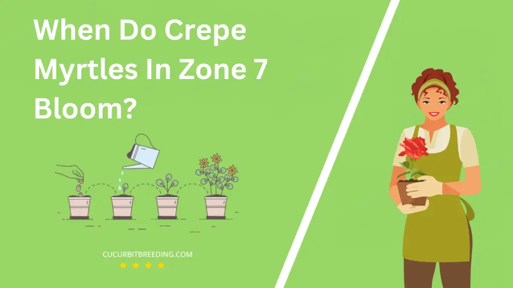 When Do Crepe Myrtles In Zone 7 Bloom