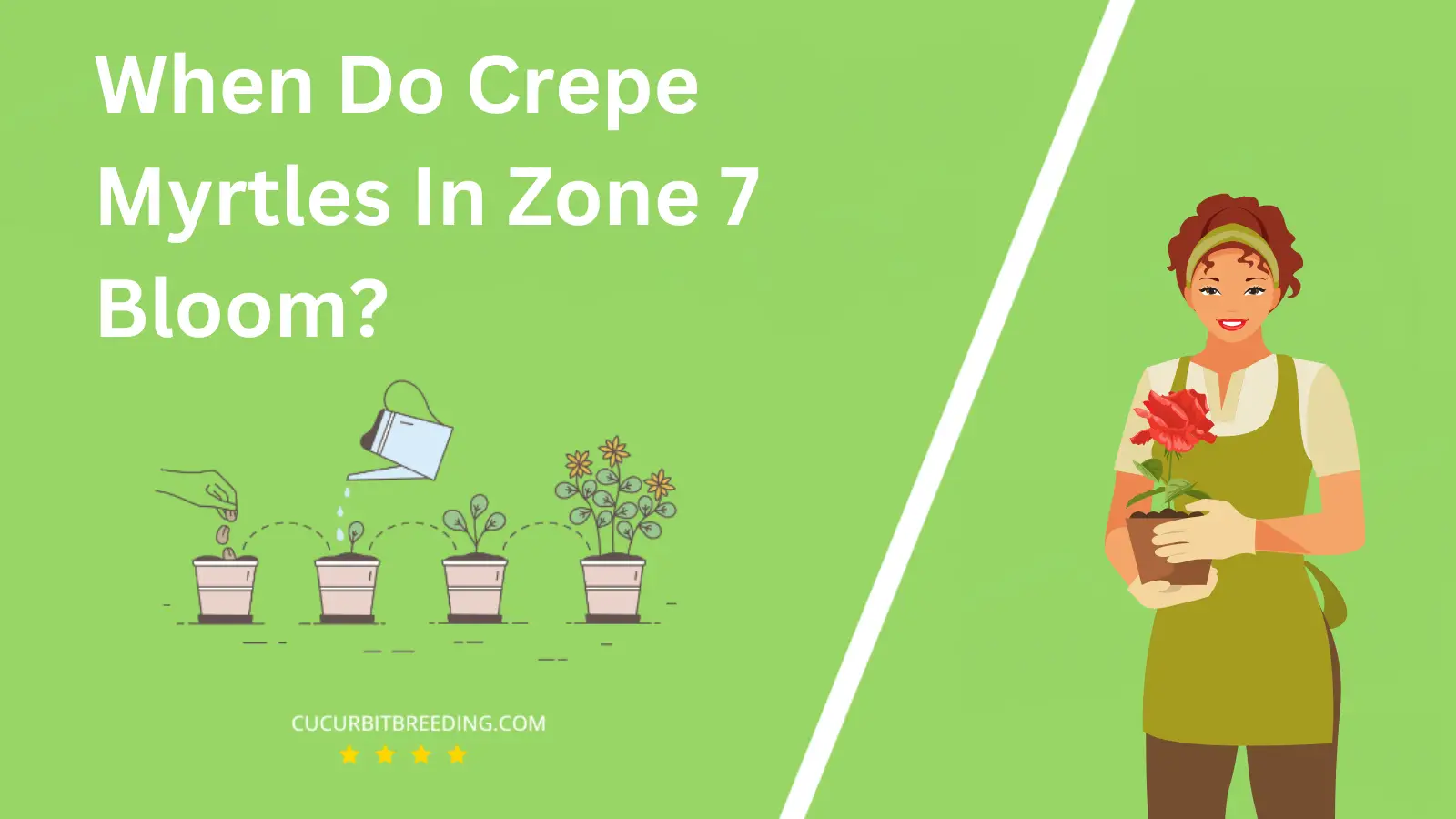When Do Crepe Myrtles In Zone 7 Bloom?