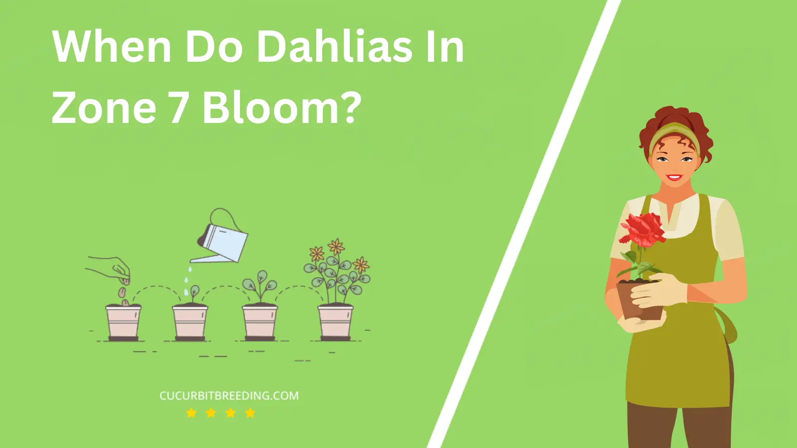 When Do Dahlias In Zone 7 Bloom?