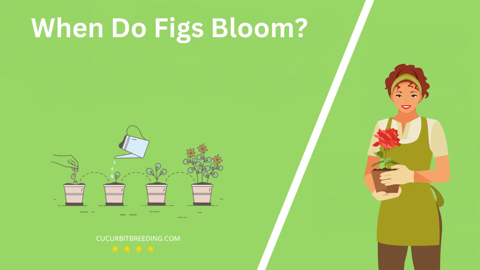 When Do Figs Bloom?