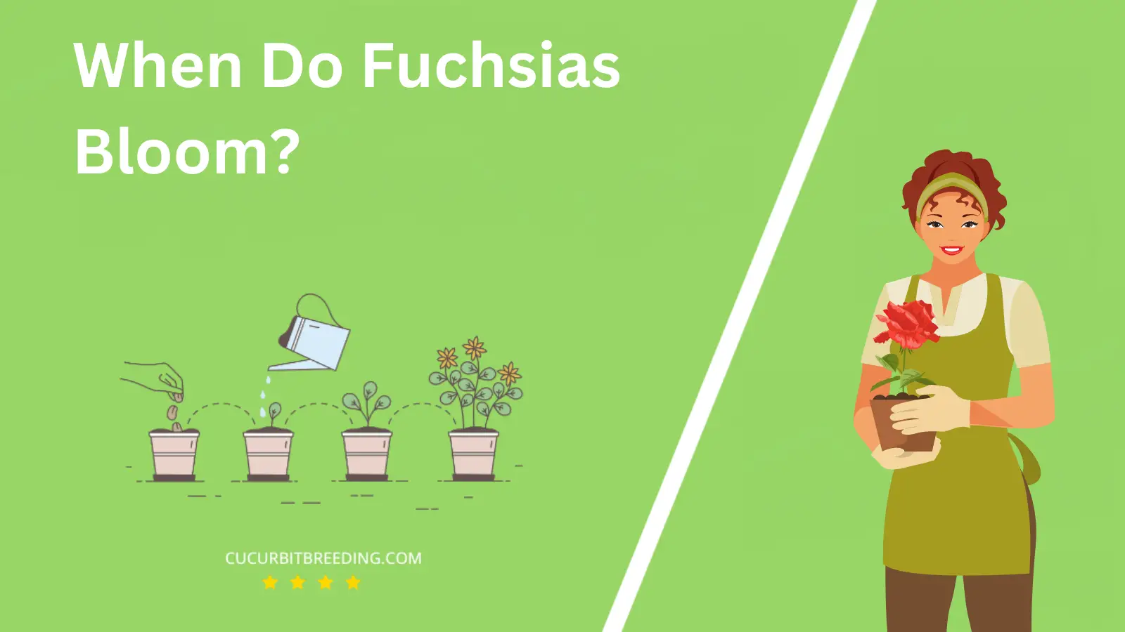 When Do Fuchsias Bloom?