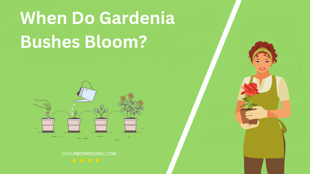 When Do Gardenia Bushes Bloom