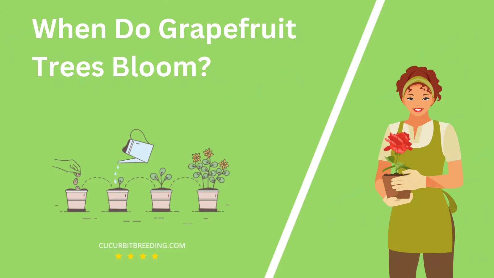 When Do Grapefruit Trees Bloom?