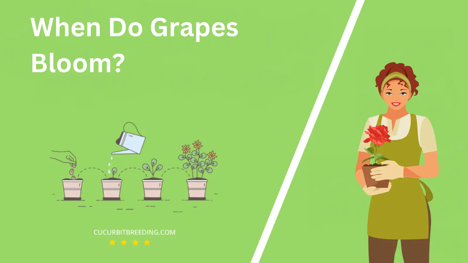 When Do Grapes Bloom?