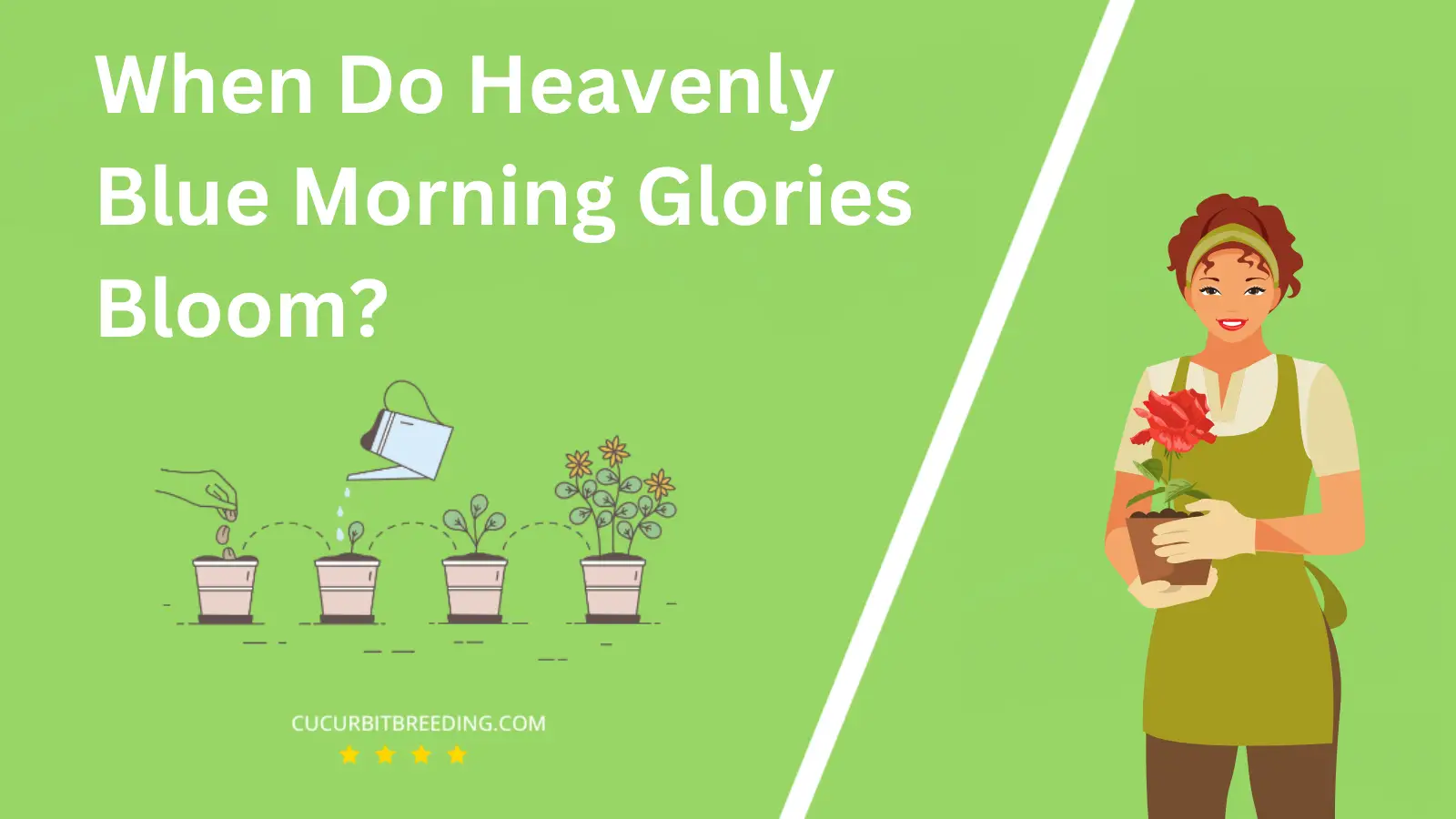 When Do Heavenly Blue Morning Glories Bloom?