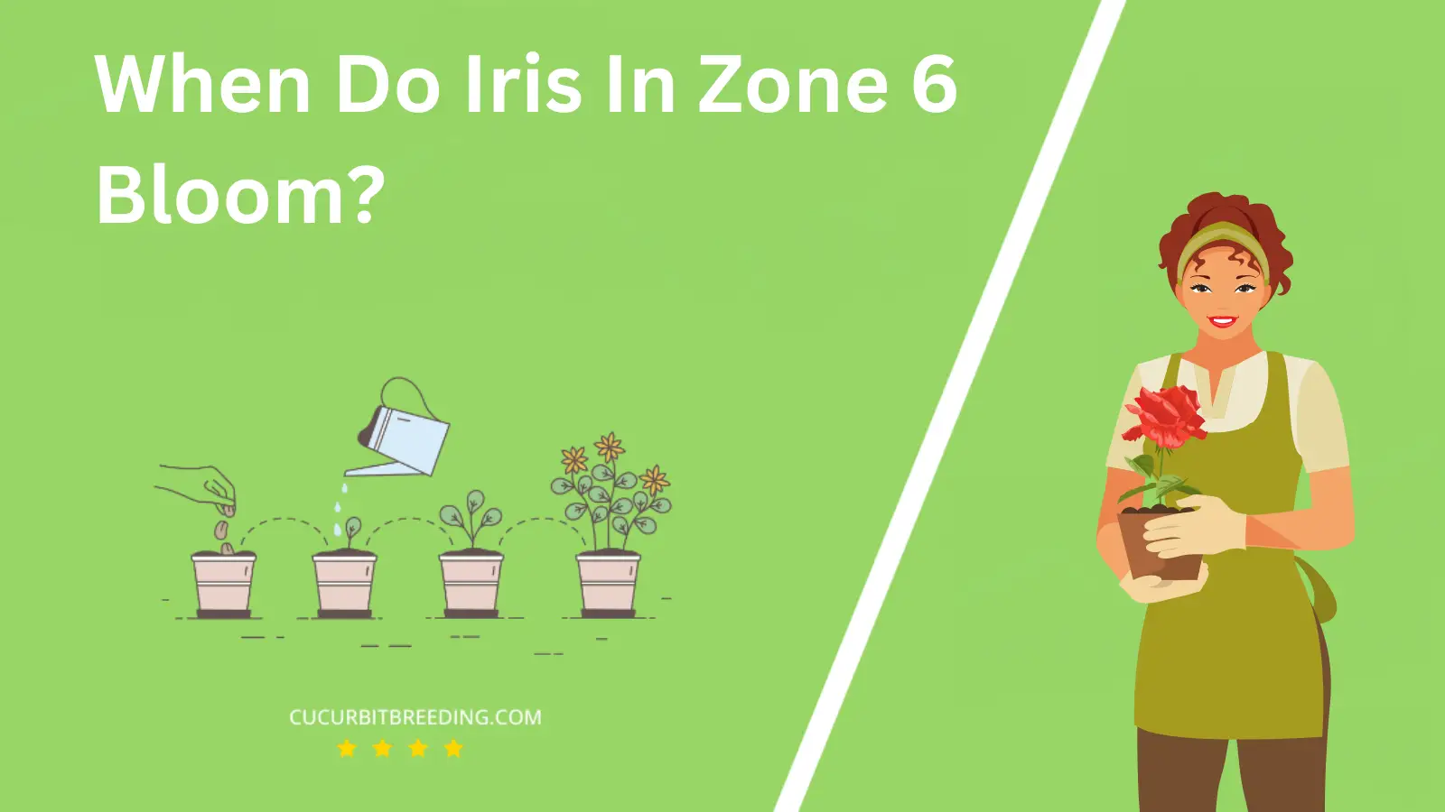 When Do Iris In Zone 6 Bloom?