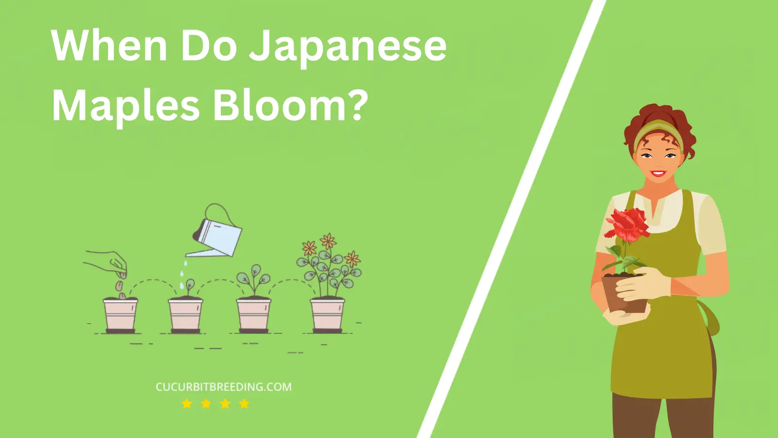 When Do Japanese Maples Bloom?