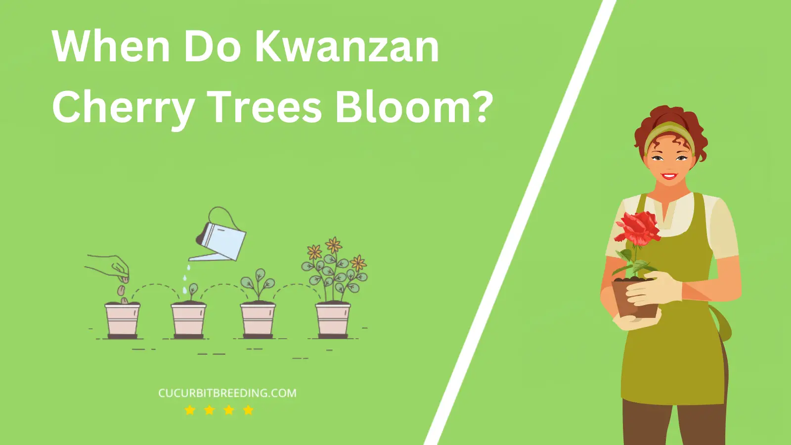 When Do Kwanzan Cherry Trees Bloom?