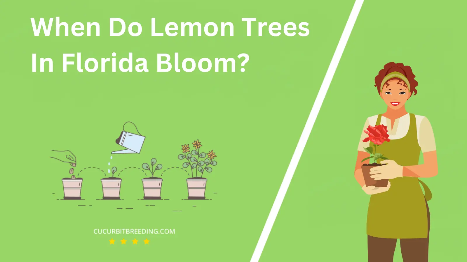 When Do Lemon Trees In Florida Bloom?