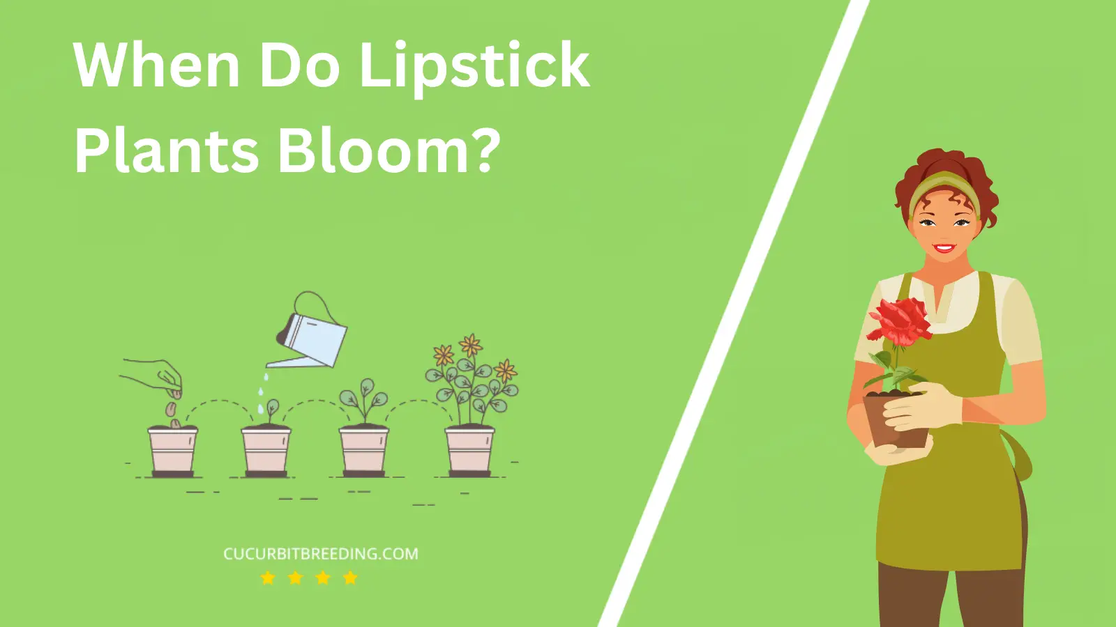 When Do Lipstick Plants Bloom?
