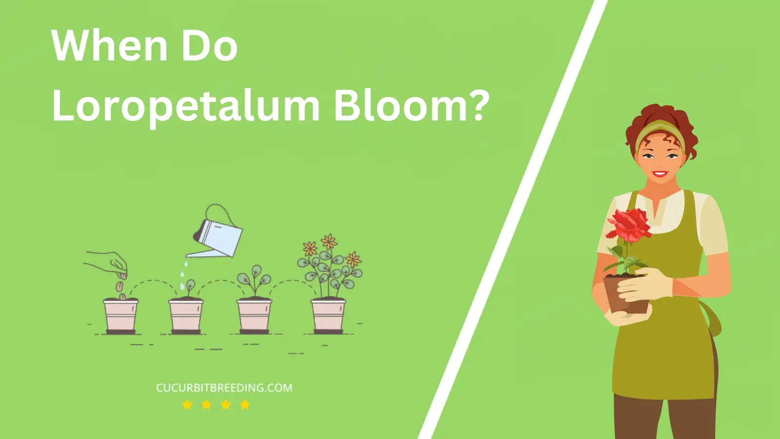 When Do Loropetalum Bloom?