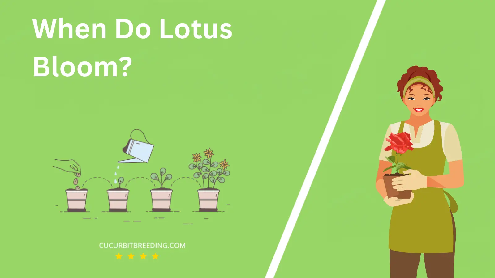 When Do Lotus Bloom?