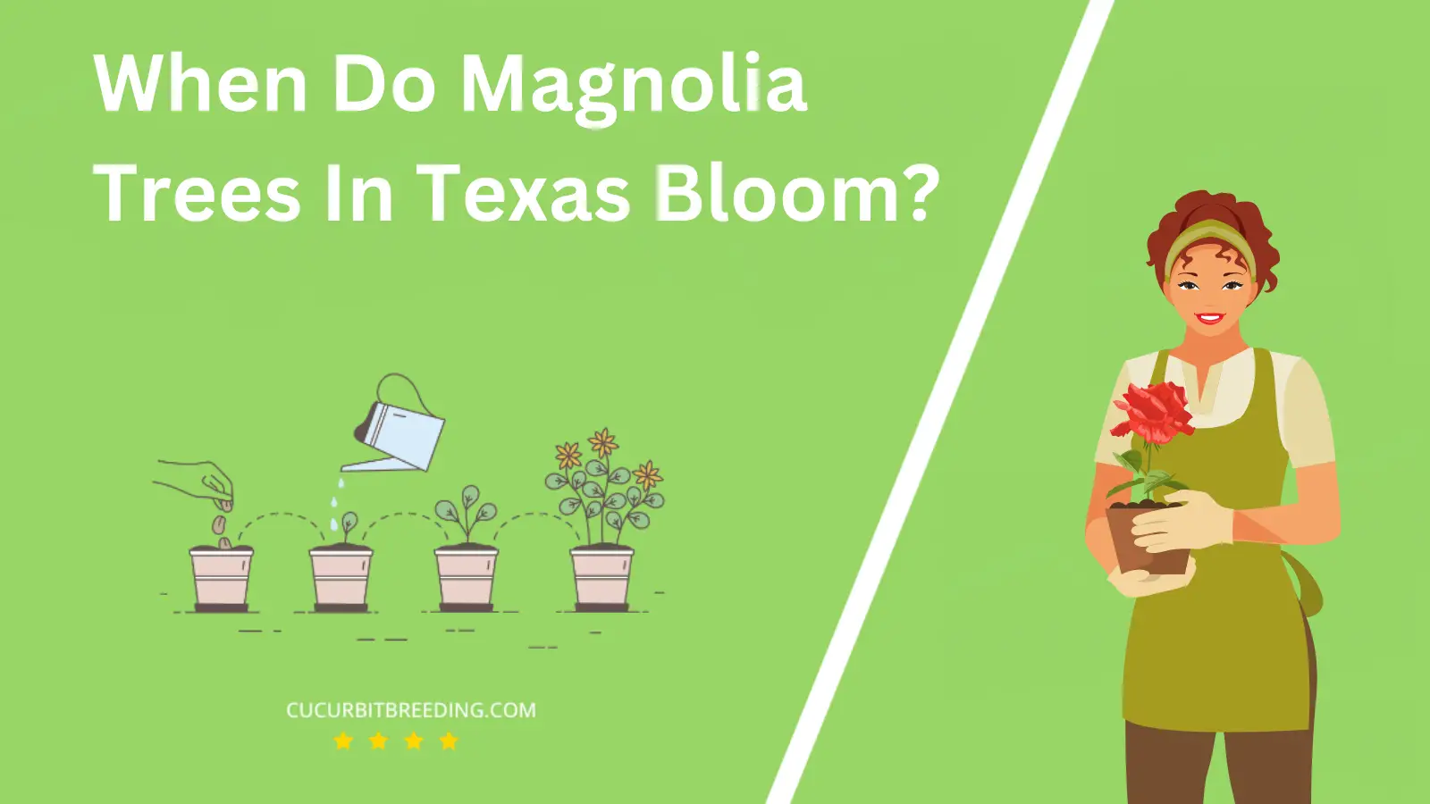 When Do Magnolia Trees In Texas Bloom?