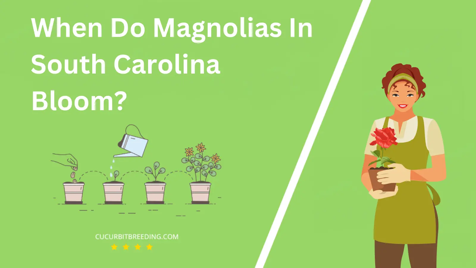 When Do Magnolias In South Carolina Bloom?