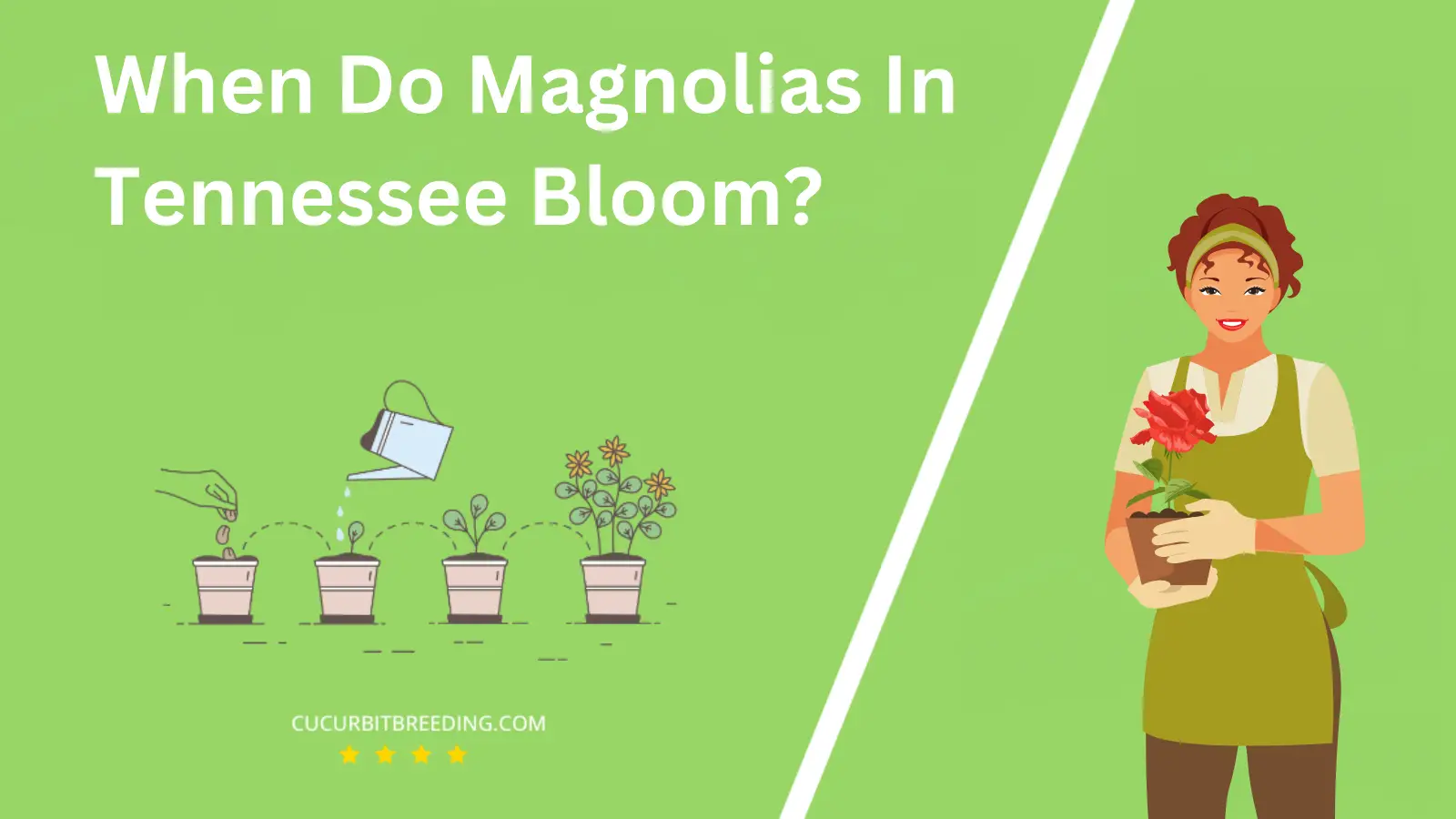 When Do Magnolias In Tennessee Bloom?
