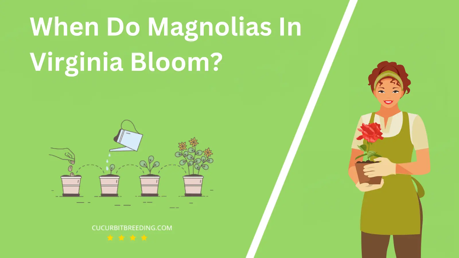 When Do Magnolias In Virginia Bloom?