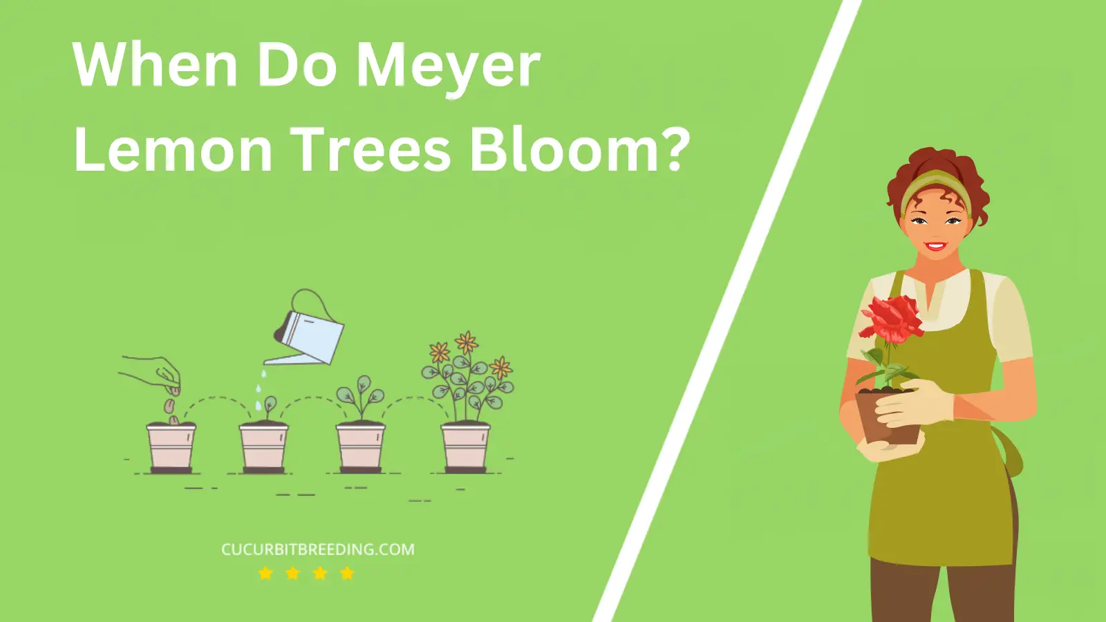 When Do Meyer Lemon Trees Bloom?