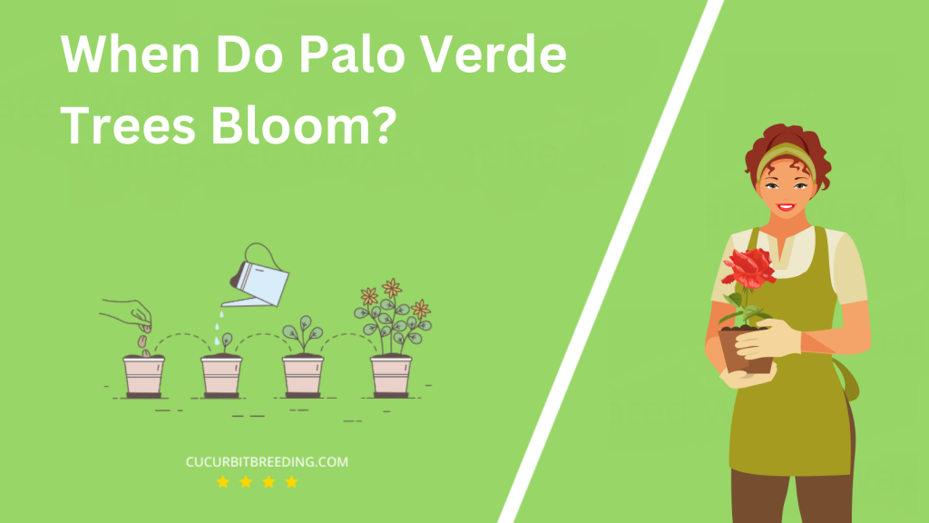 When Do Palo Verde Trees Bloom