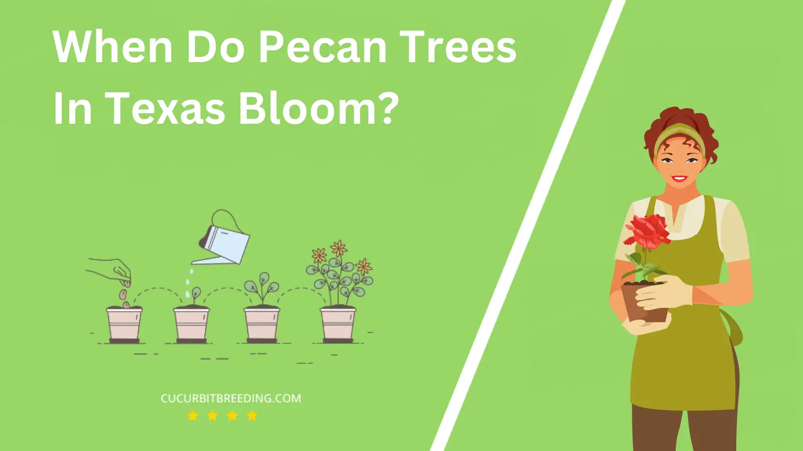 When Do Pecan Trees In Texas Bloom?