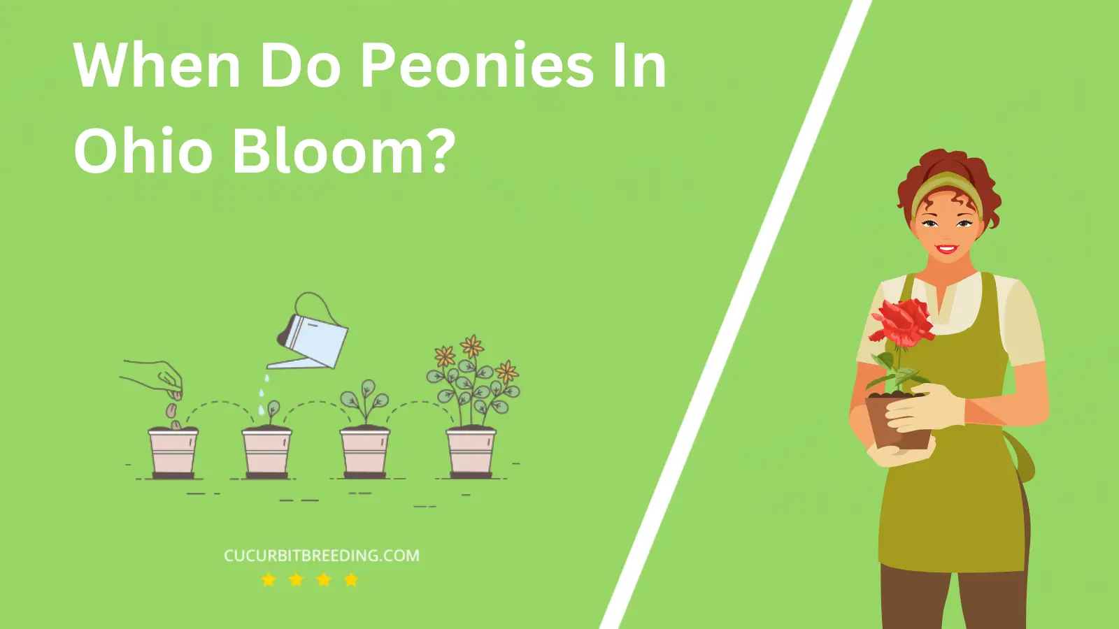 When Do Peonies In Ohio Bloom?
