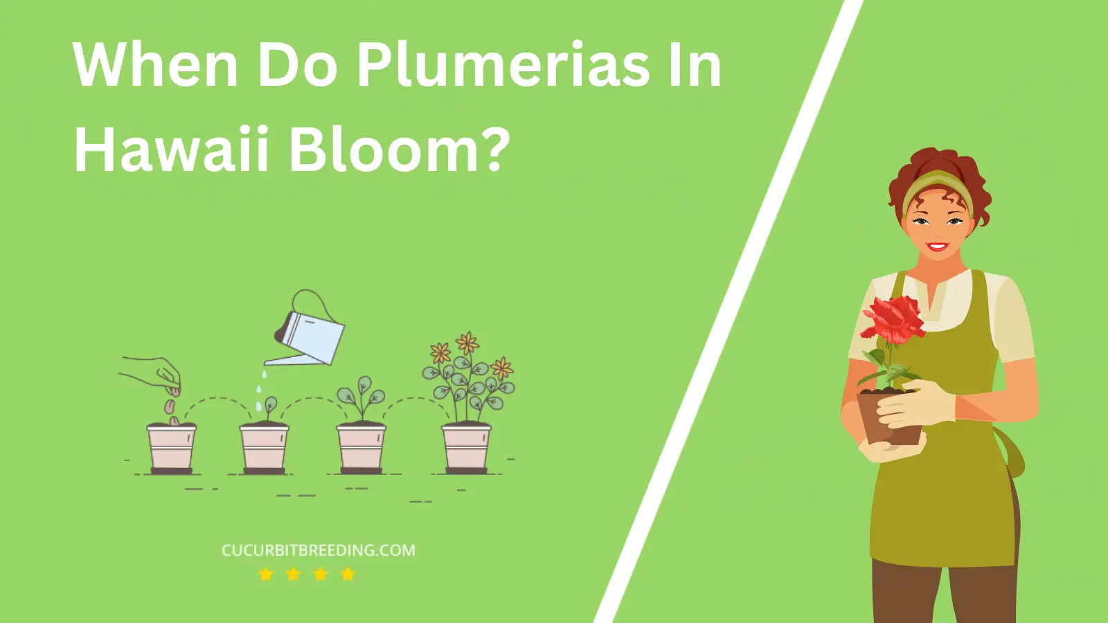 When Do Plumerias In Hawaii Bloom?