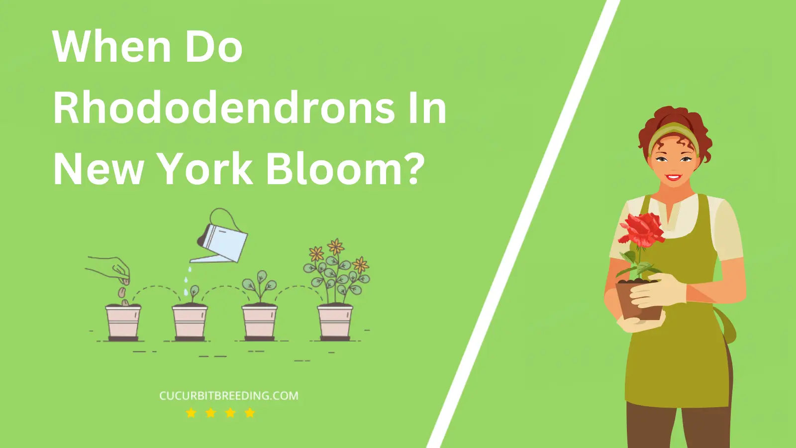 When Do Rhododendrons In New York Bloom?