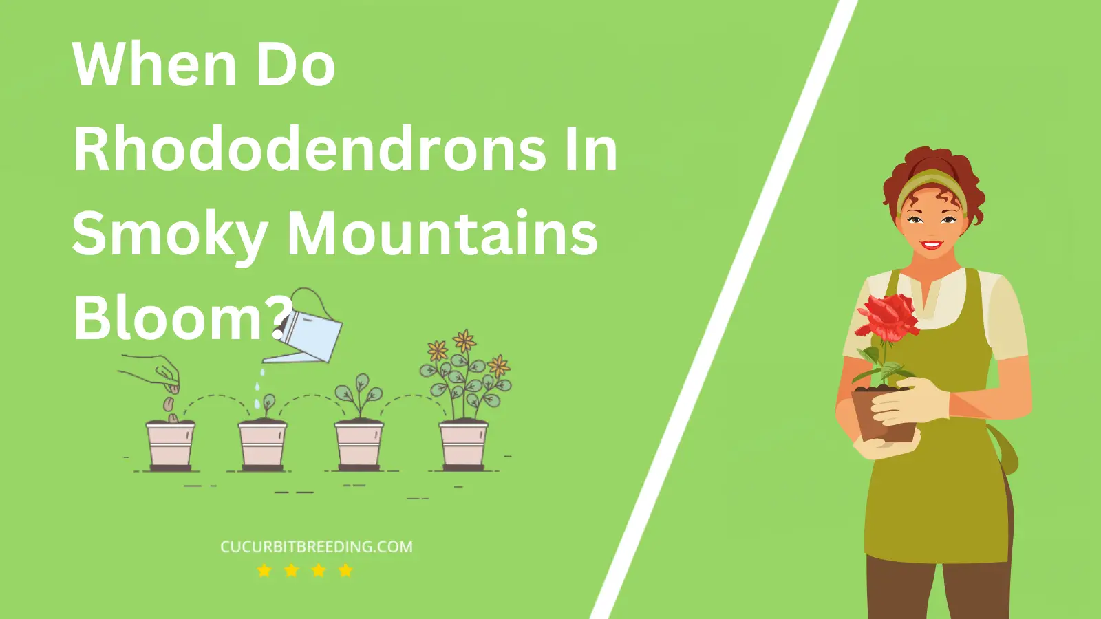 When Do Rhododendrons In Smoky Mountains Bloom?