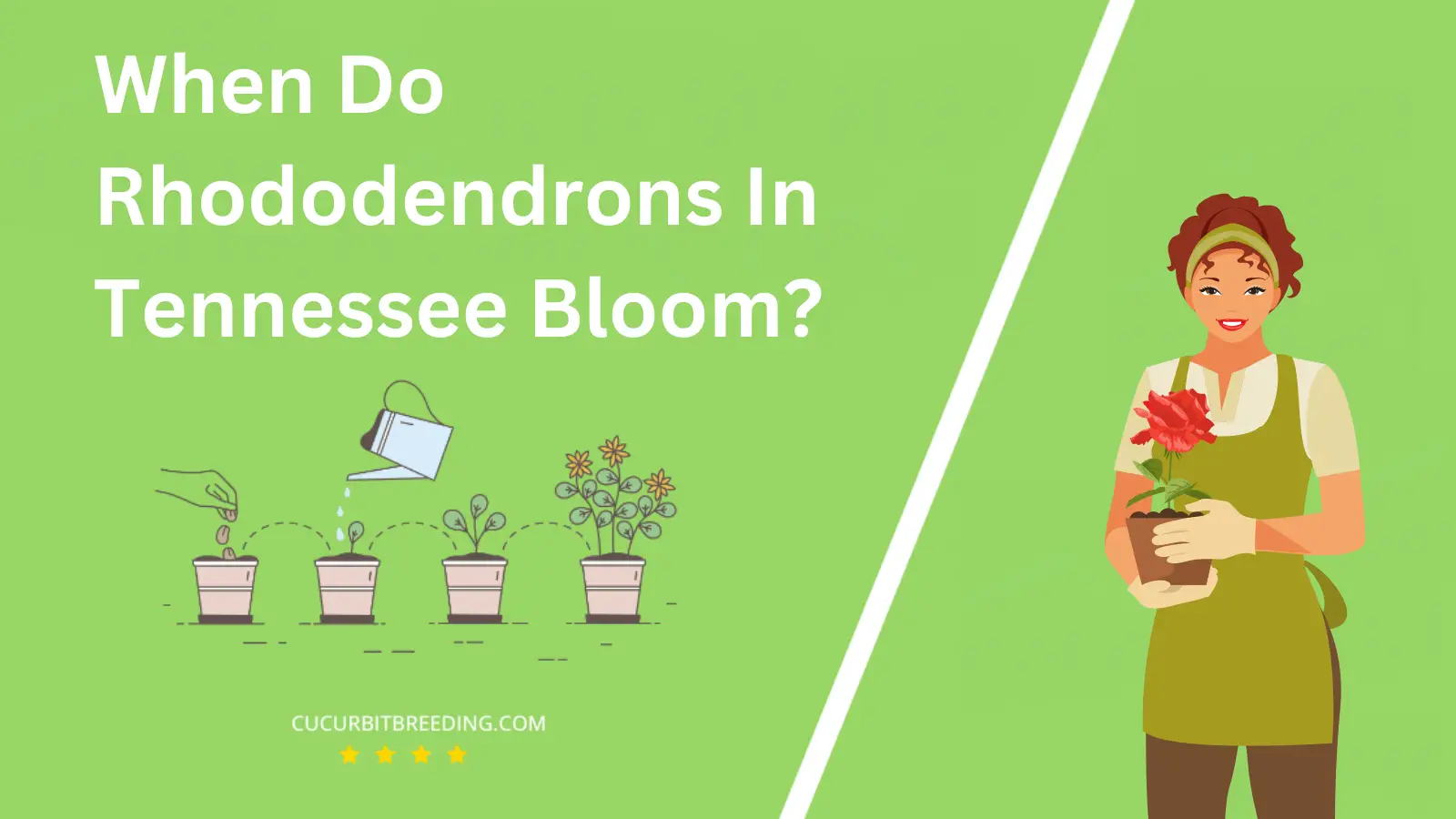 When Do Rhododendrons In Tennessee Bloom?