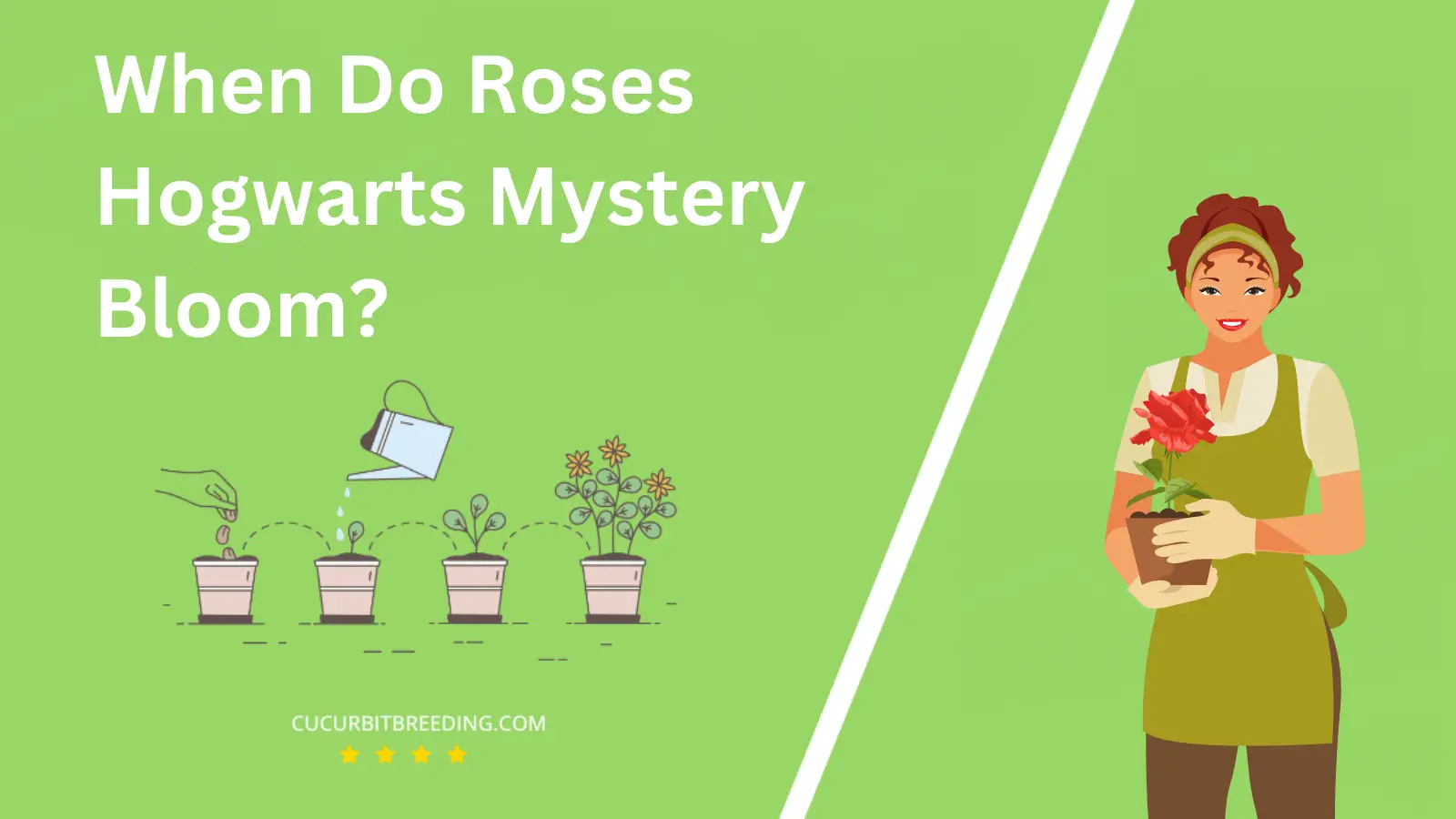 When Do Roses Hogwarts Mystery Bloom?