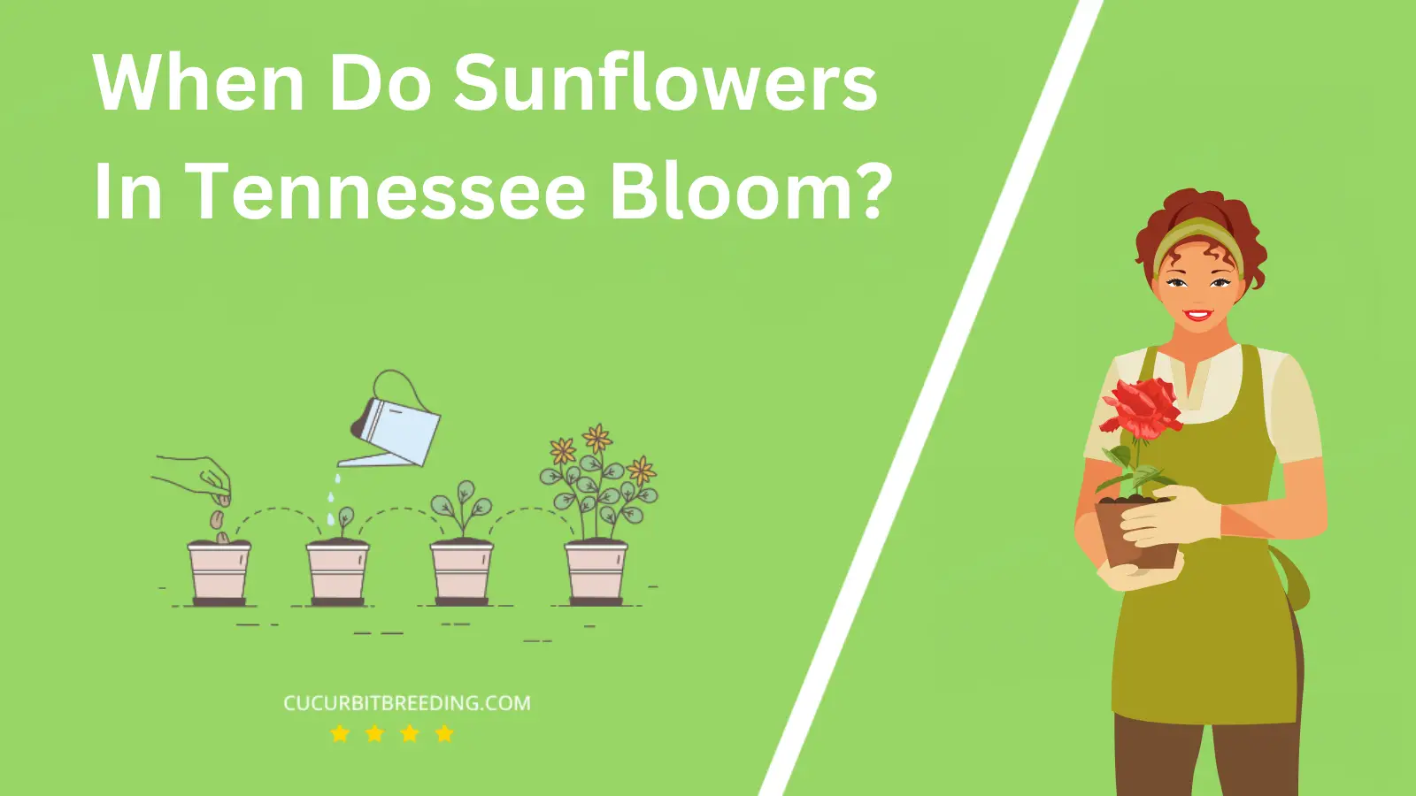 When Do Sunflowers In Tennessee Bloom?