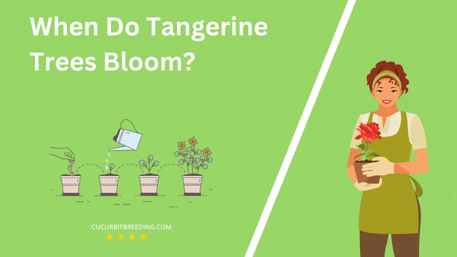 When Do Tangerine Trees Bloom?
