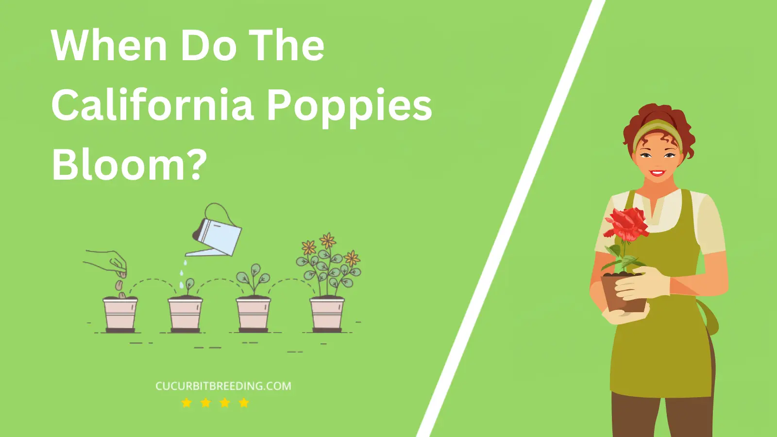 When Do The California Poppies Bloom?