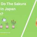 When Do The Sakura Trees In Japan Bloom