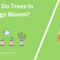 When Do Trees In Chicago Bloom