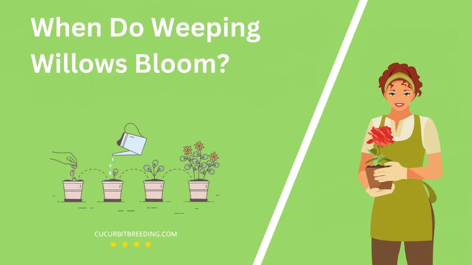 When Do Weeping Willows Bloom?