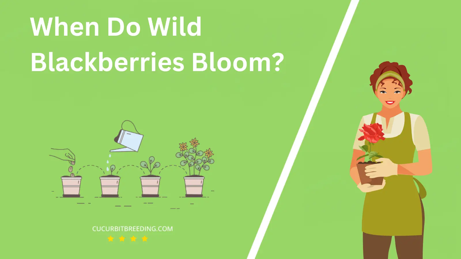 When Do Wild Blackberries Bloom?