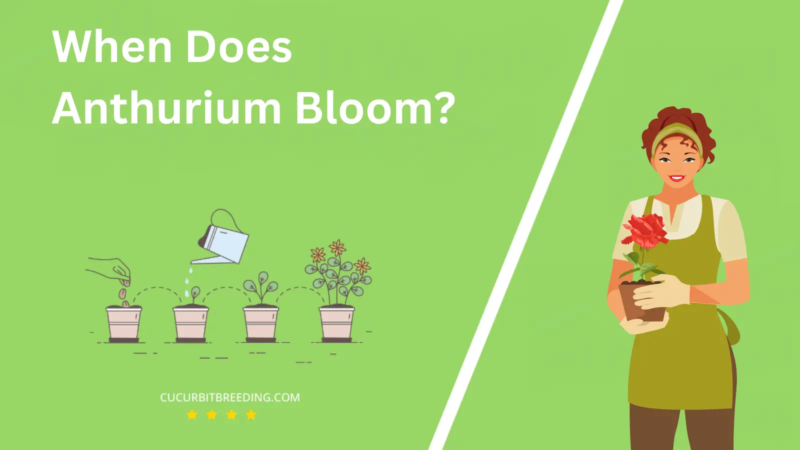 When Does Anthurium Bloom?