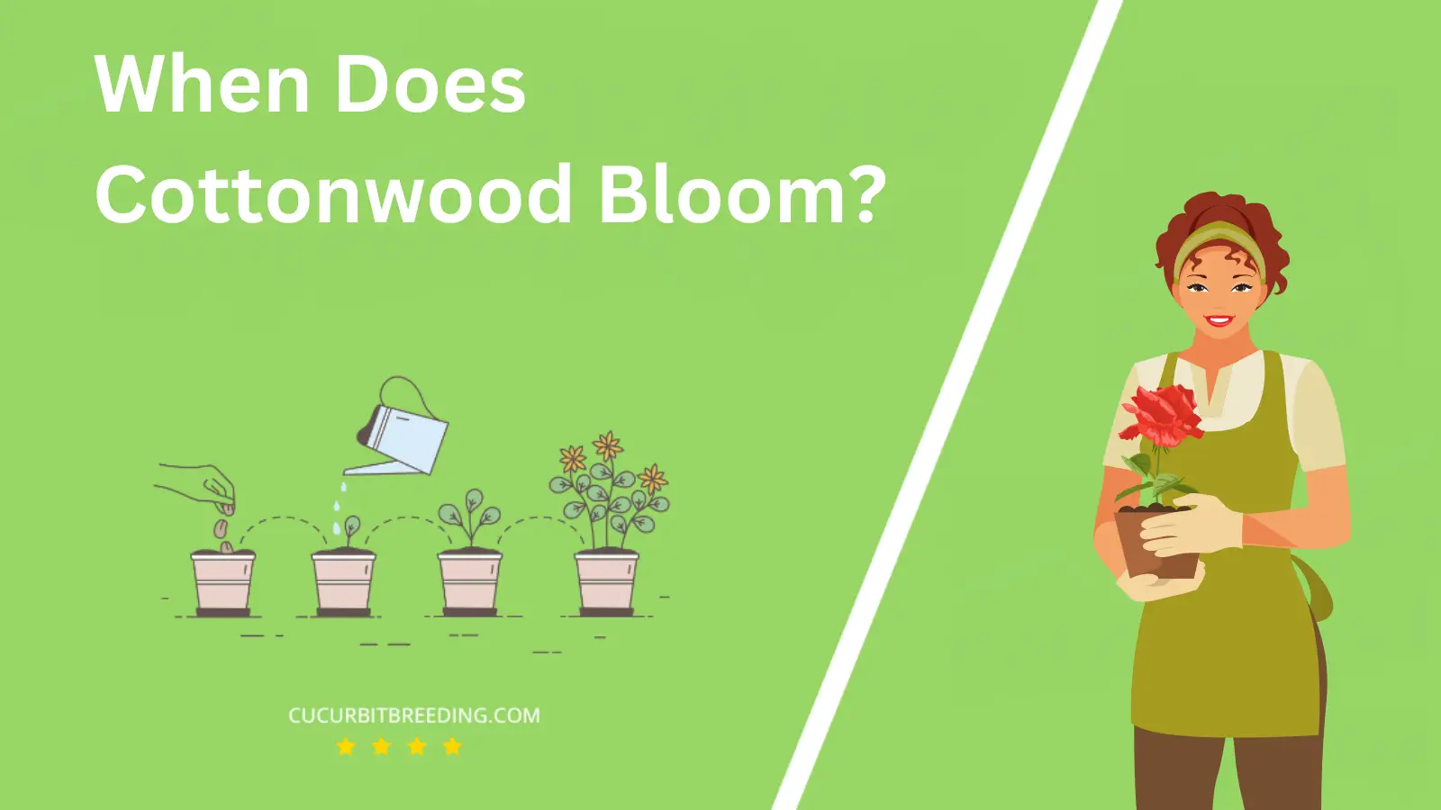 When Does Cottonwood Bloom?