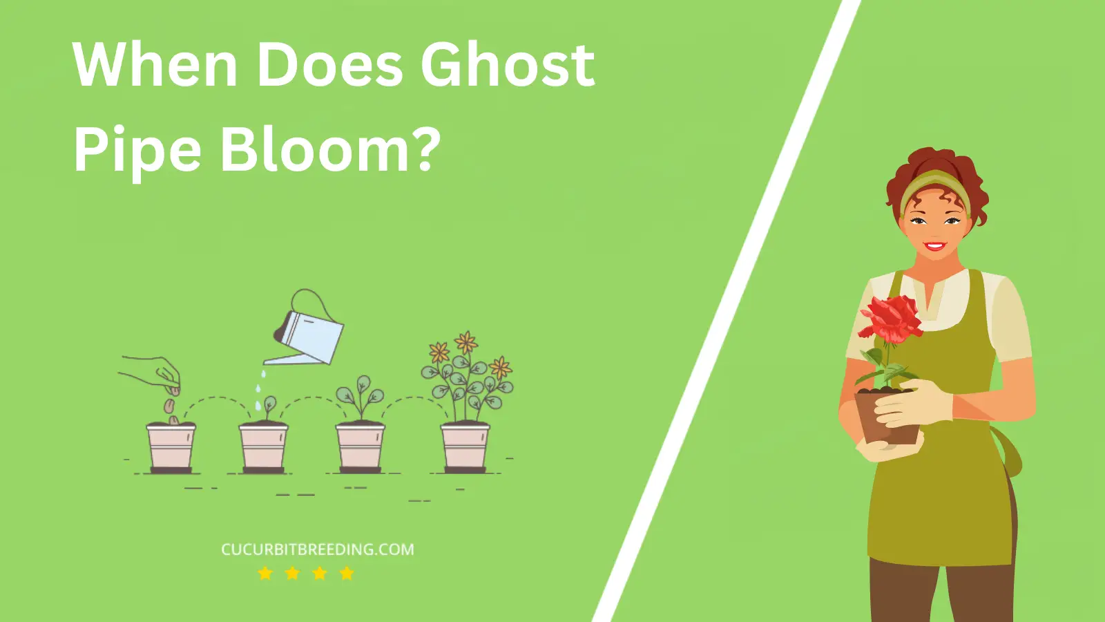 When Does Ghost Pipe Bloom?