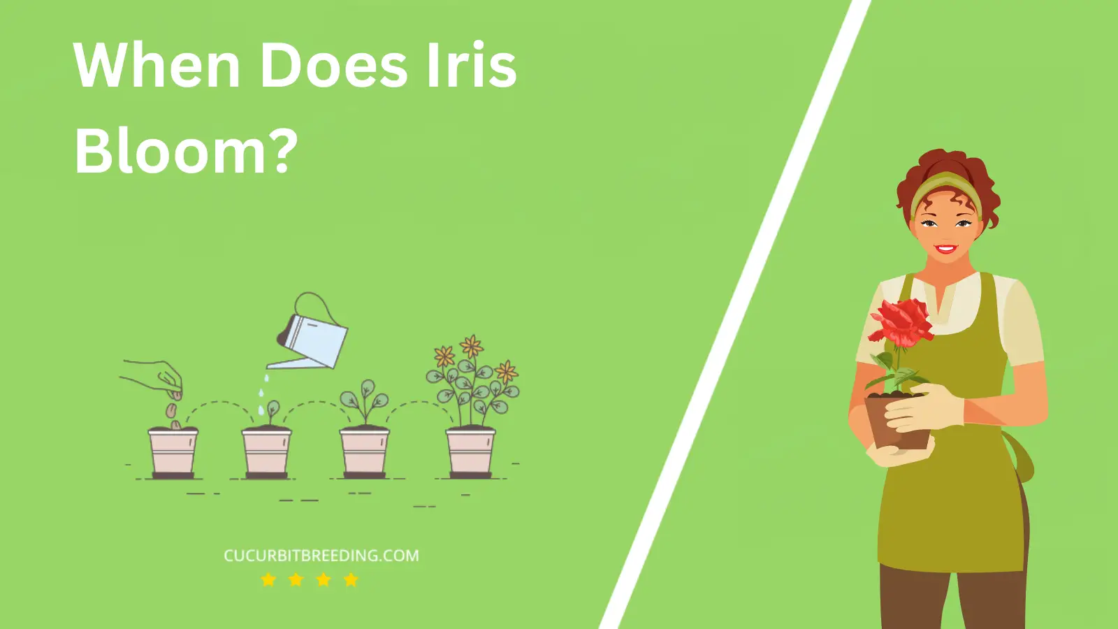 When Does Iris Bloom?