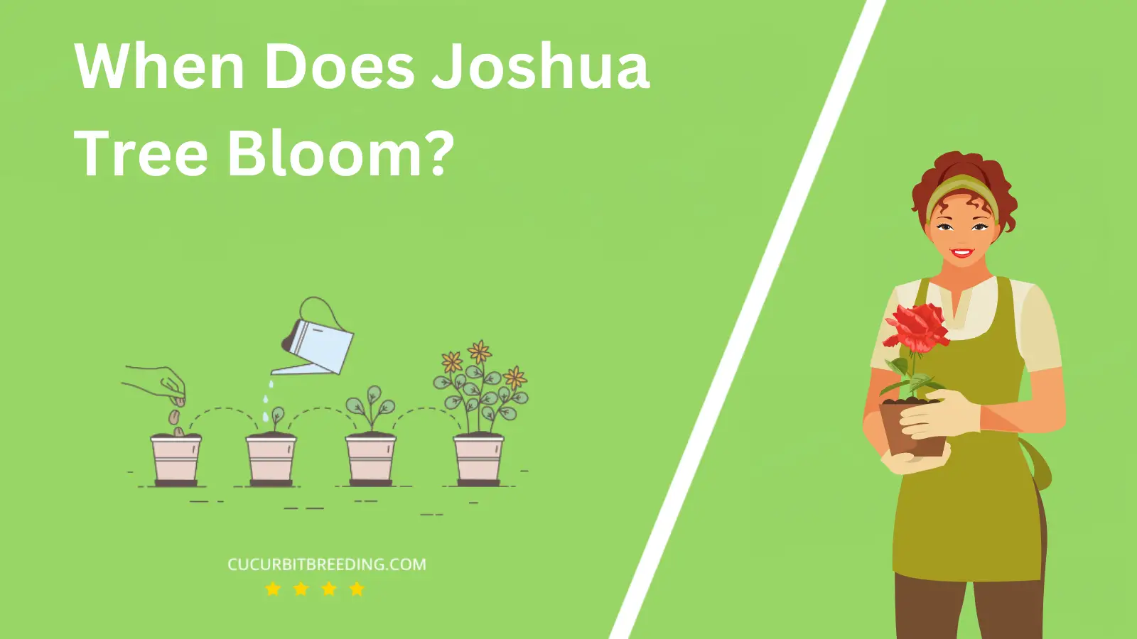 When Does Joshua Tree Bloom?