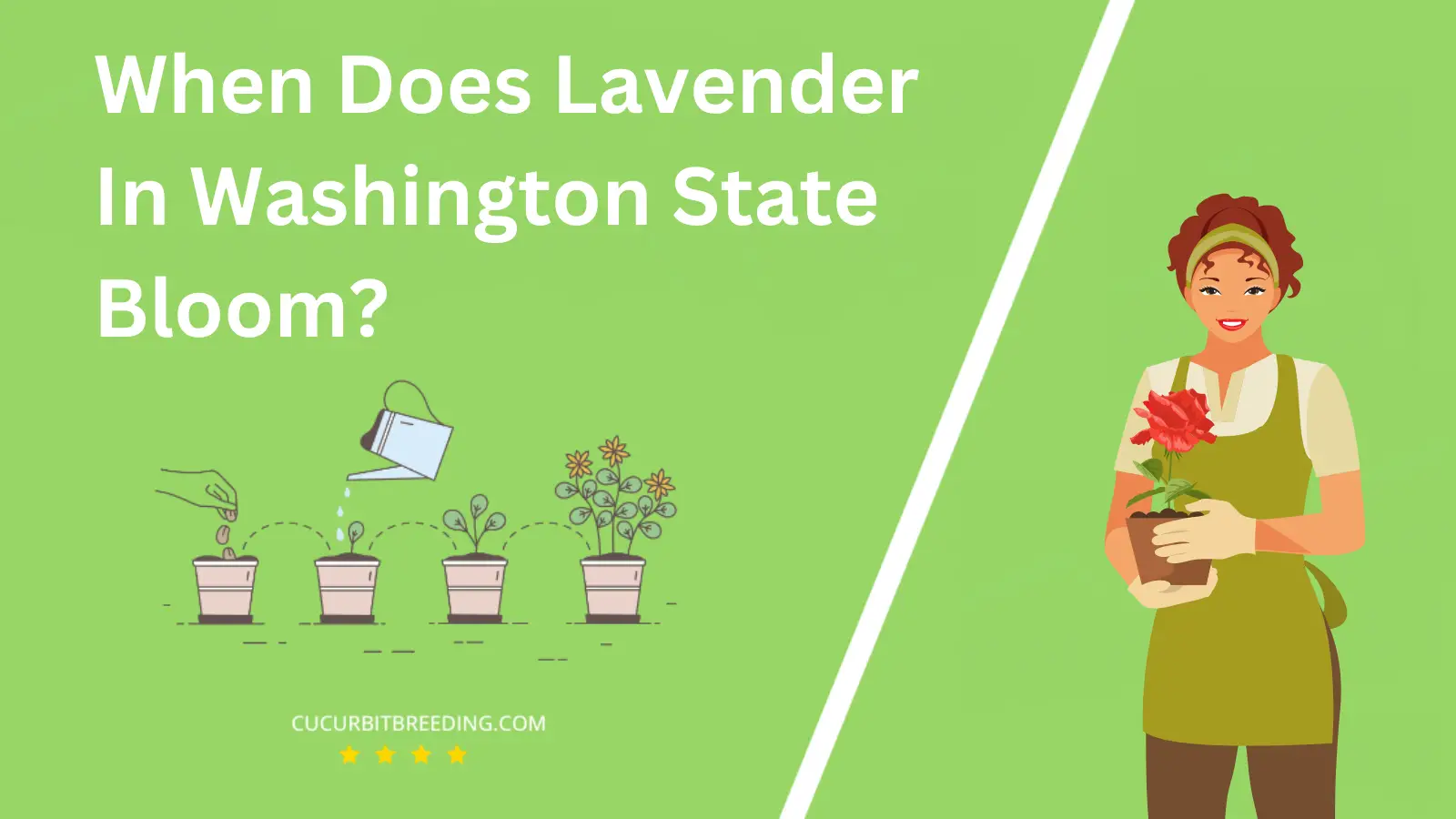 When Does Lavender In Washington State Bloom?
