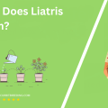 When Does Liatris Bloom