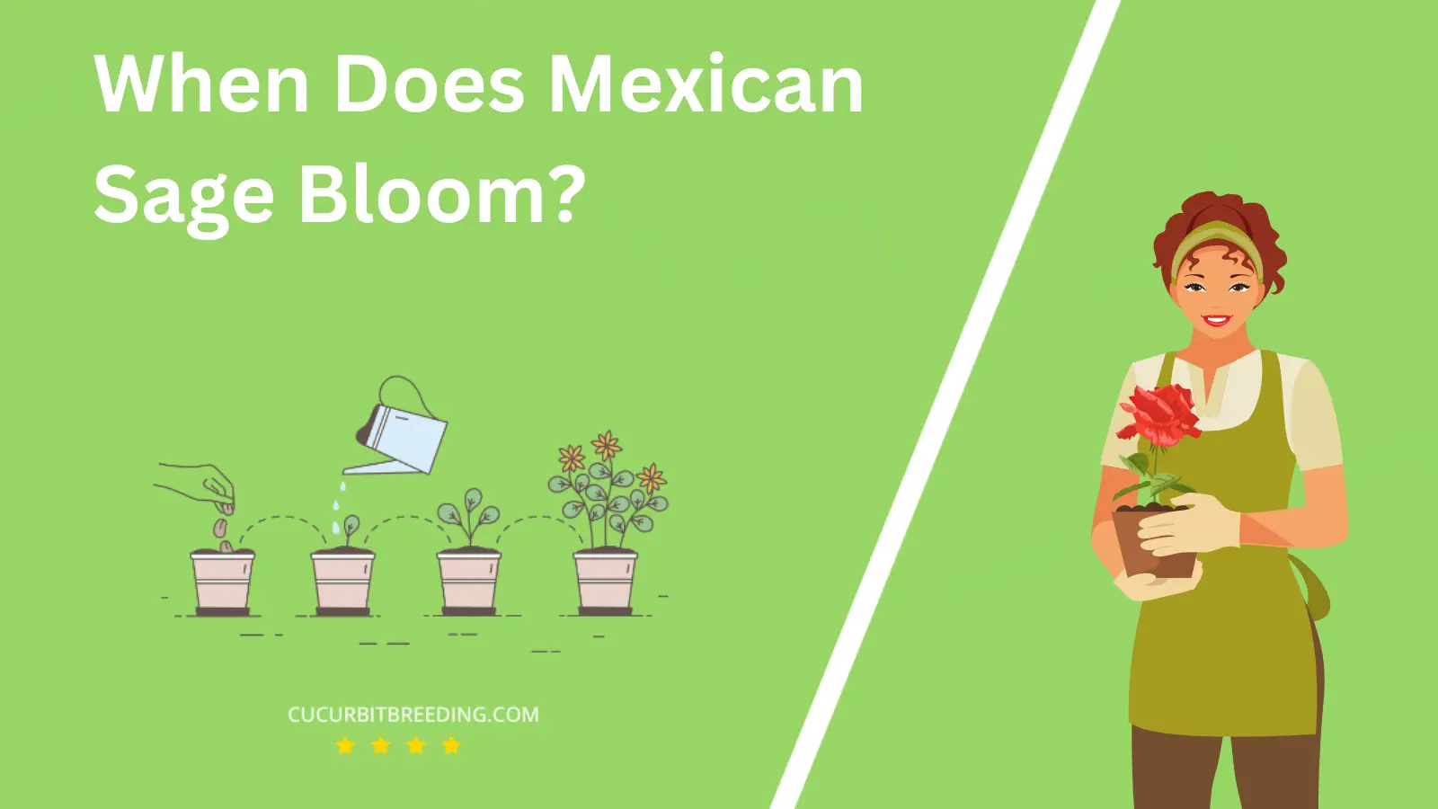 When Does Mexican Sage Bloom?