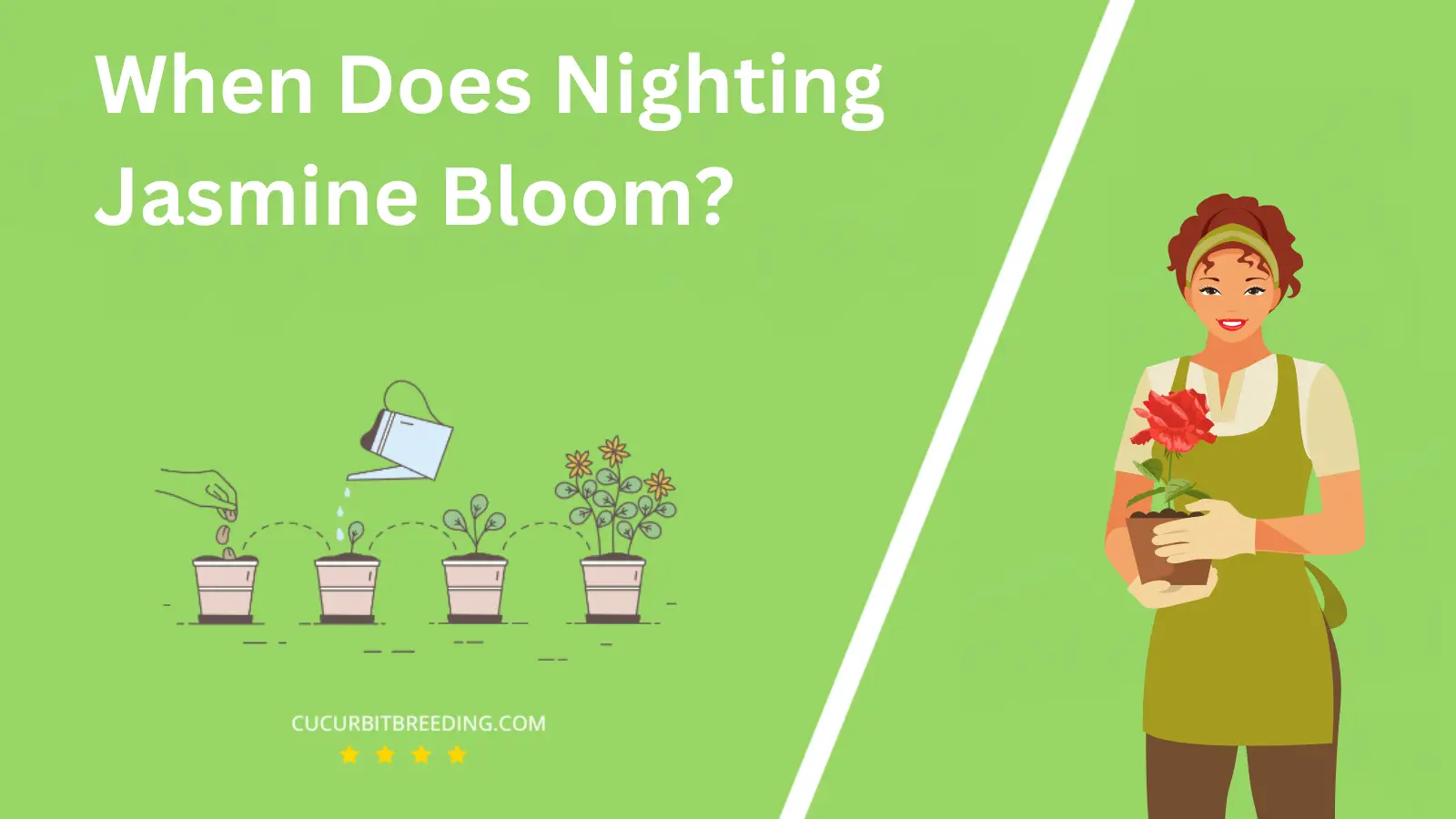 When Does Nighting Jasmine Bloom?