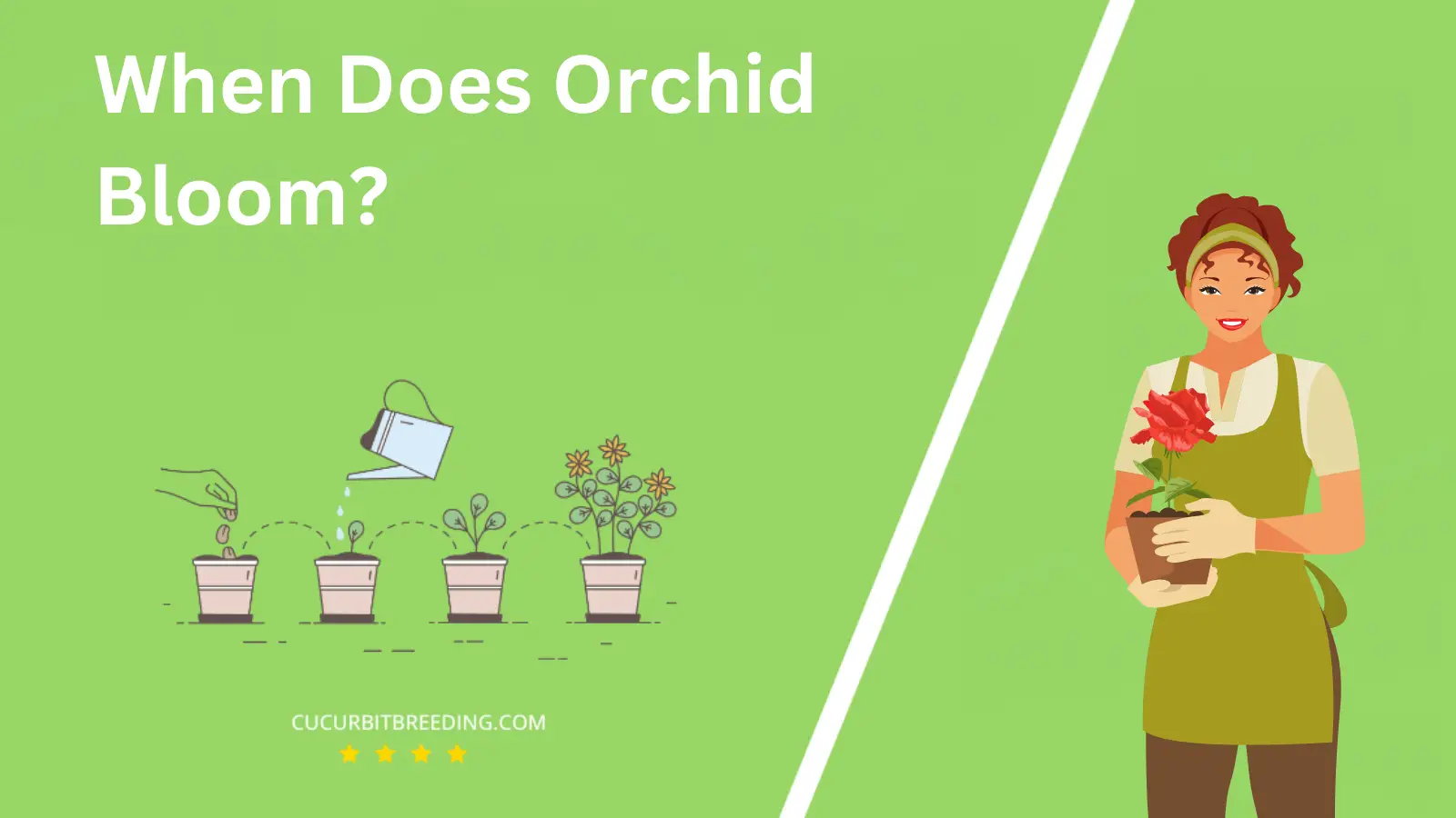 When Does Orchid Bloom?