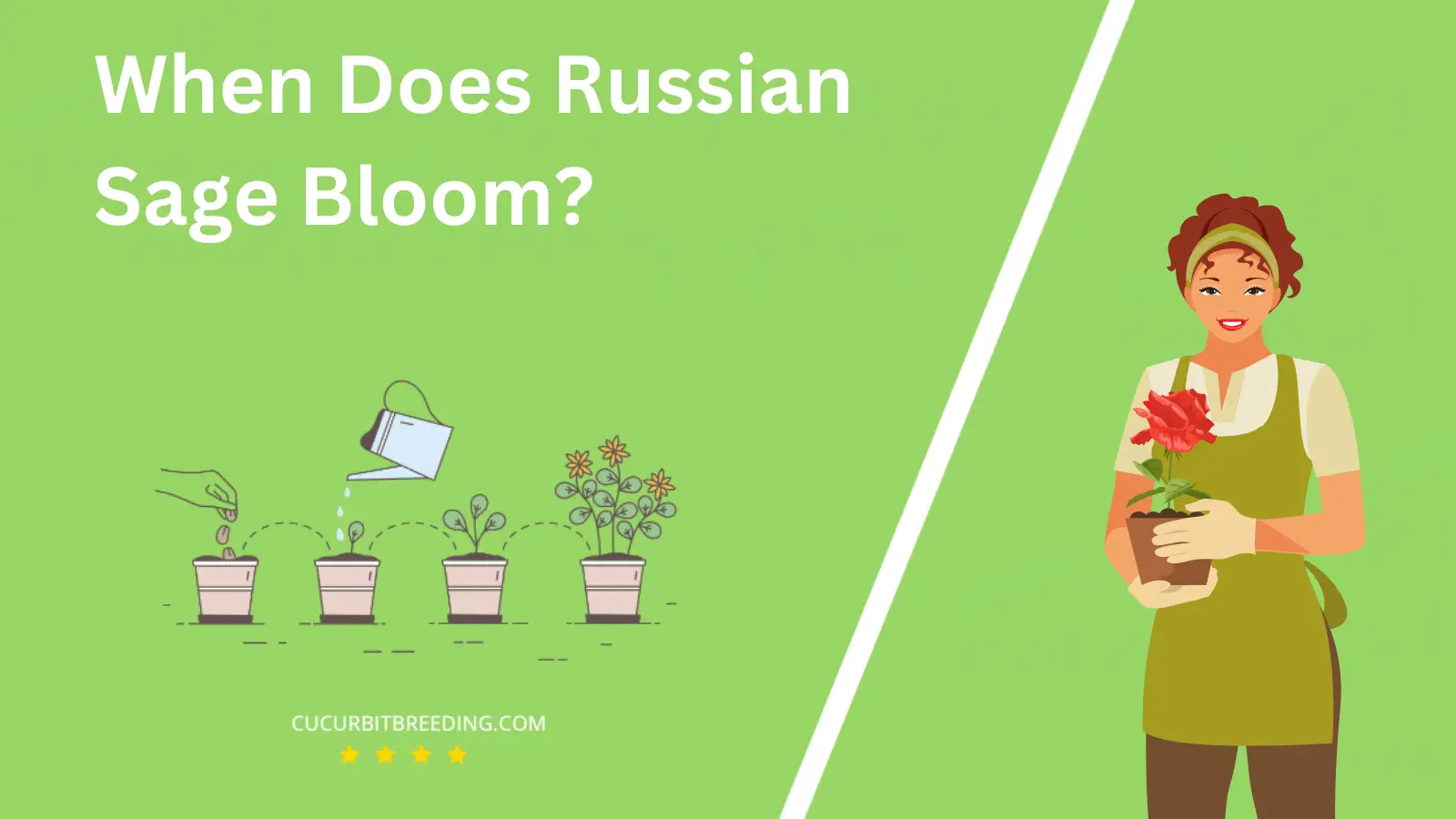 When Does Russian Sage Bloom?