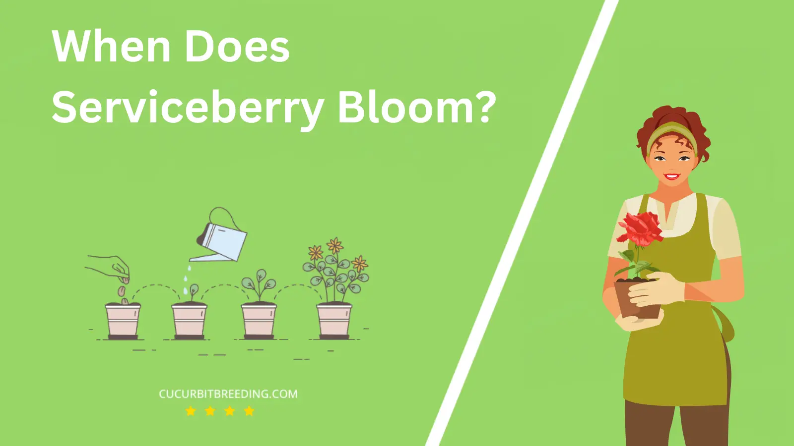 When Does Serviceberry Bloom?