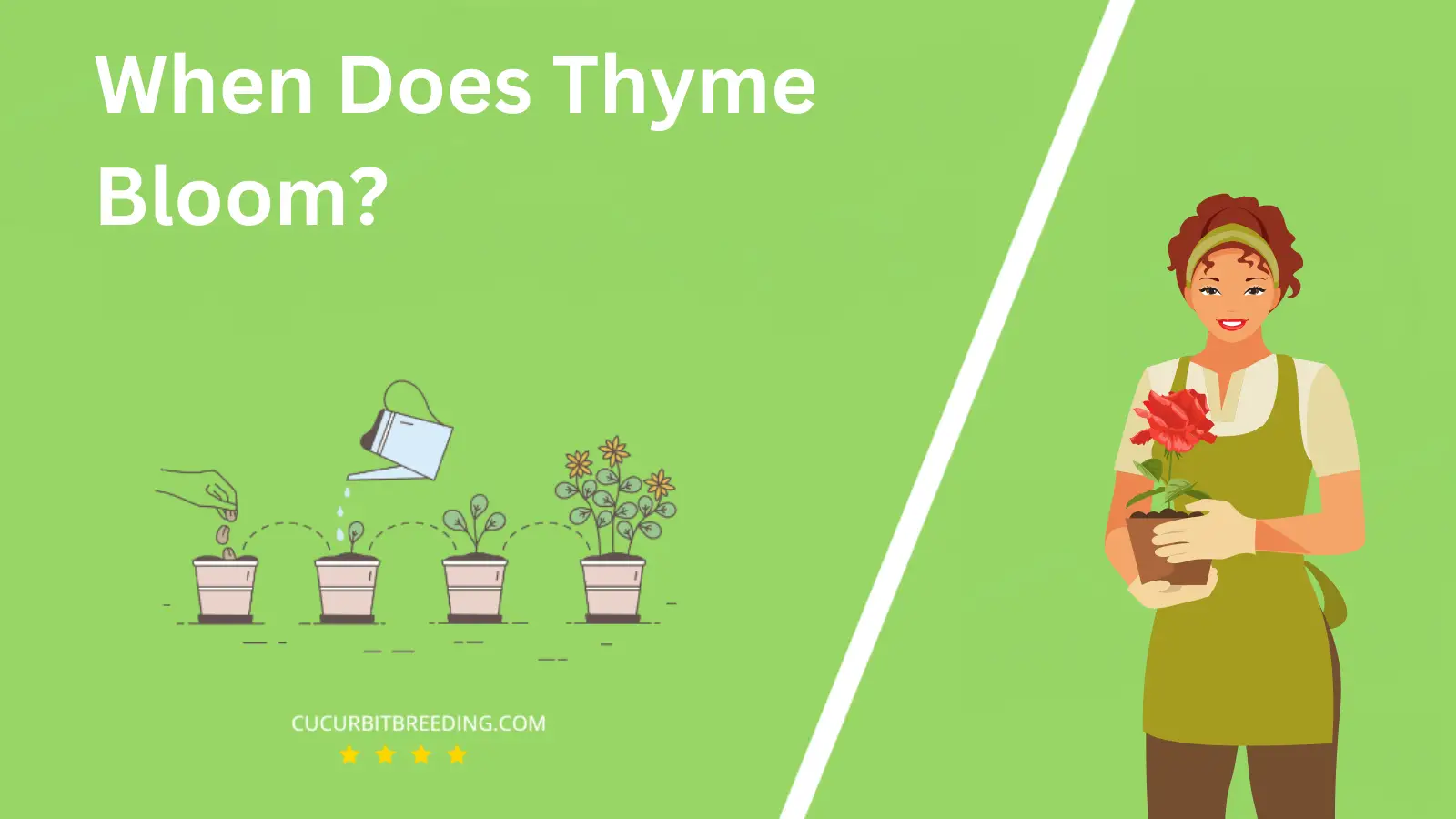 When Does Thyme Bloom?