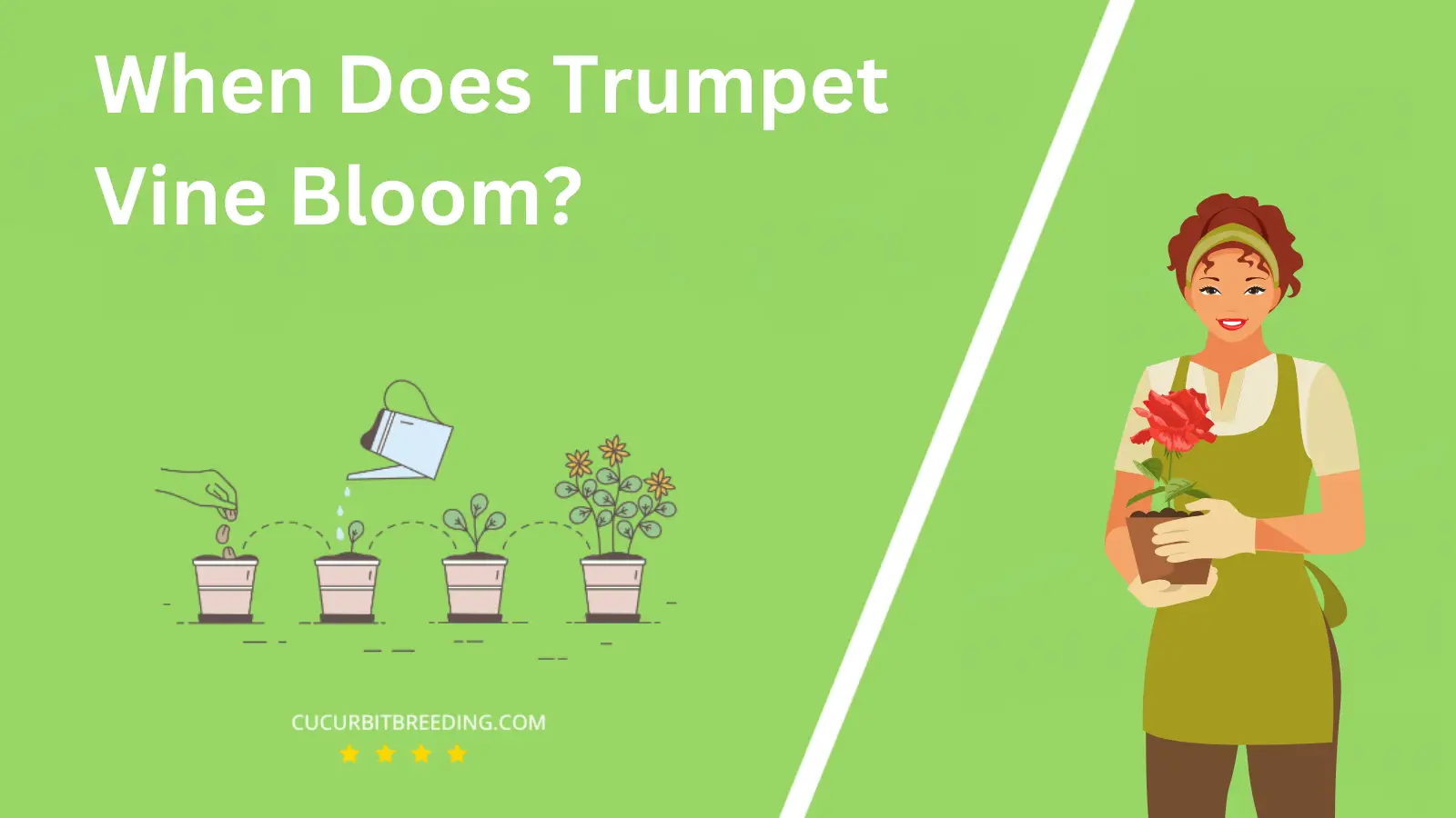 When Does Trumpet Vine Bloom?